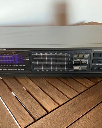 equalizzatore rafico Technics SH-8046