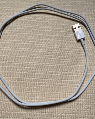 Apple cavo da USB‑C a Lightning (1m)