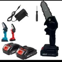 motosega doppia batteria 