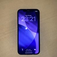 iphone 12 pro 256 gb