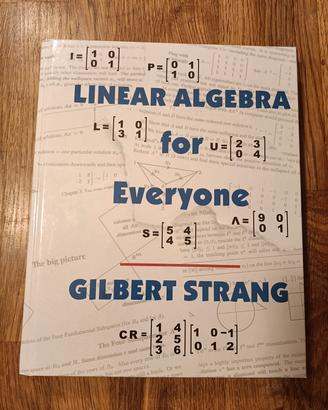 Linear algebra for everyone 