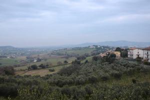 Locale ad uso laboratorio con piccola corte