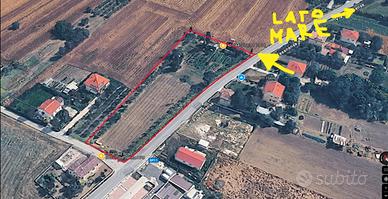 Terreno agricolo con acqua e olivi