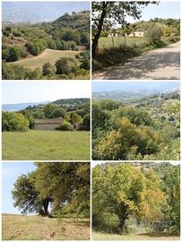 Terreno con case rurali a Montalto U. (Cosenza)