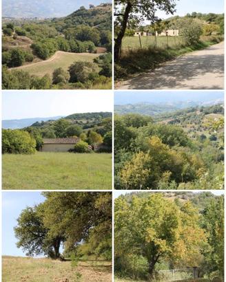 Terreno con case rurali a Montalto U. (Cosenza)