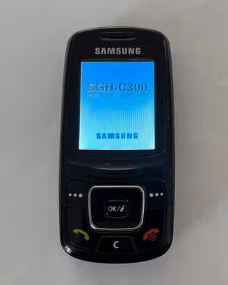 Samsung SGH-C300