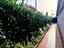 Immagine 23