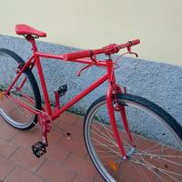 bicicletta uomo passeggio 