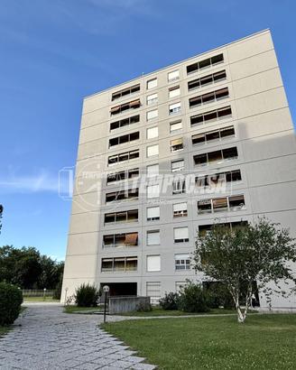 TRE LOCALI CON BOX - GARDEN CITY