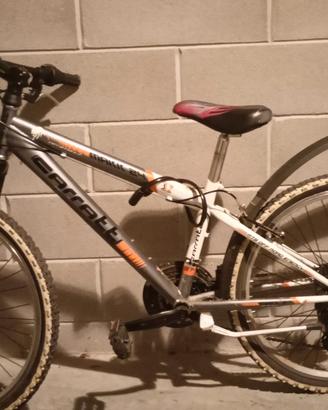 montan bike ragazzo 