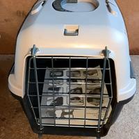 lettiera e trasportini