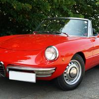 Alfa Romeo Spider 1750 VELOCE - OSSO DI SEPPIA - 1