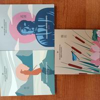 raccolta volumi Pratiche giapponesi per la felicit