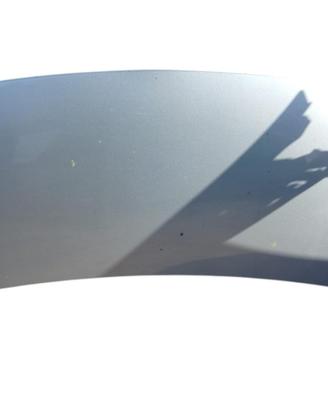 COFANO ANTERIORE TOYOTA Yaris Serie 533010D080 (05
