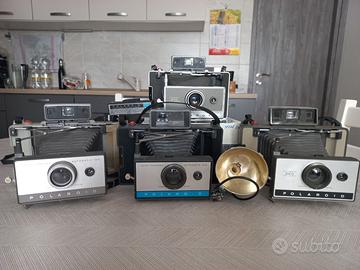 Polaroid a soffietto