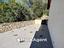 Immagine 24