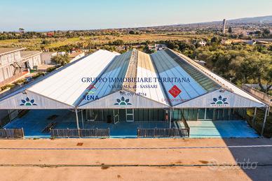 Sassari - Viale Porto Torres - Impianto serricolo