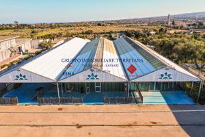 Sassari - Viale Porto Torres - Impianto serricolo