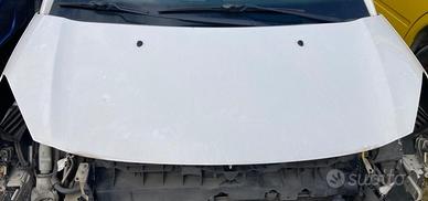 COFANO ANTERIORE CITROEN C3 Serie COFANO CITROEN (