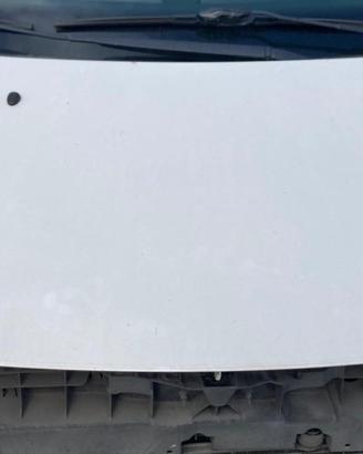 COFANO ANTERIORE CITROEN C3 Serie COFANO CITROEN (