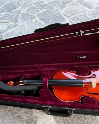 Violino
