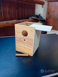 casetta per uccelli.