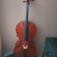 Violoncello