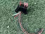 Immagine 2