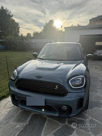 Miny countryman