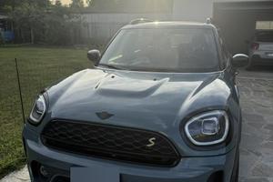 Miny countryman
