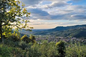 Oliveto vista mare Pieve a Elici a piane e Annesso