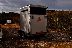 Trailer  rimorchio