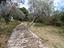 Immagine 10
