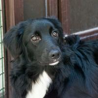 Dea 1 anno tg media contenuta in adozione