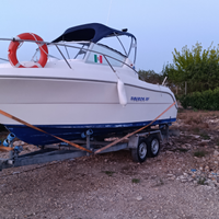 Sessa Tiburon 20