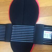 Paraschiena Energiapura jr