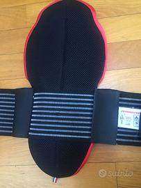 Paraschiena Energiapura jr