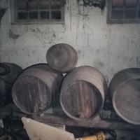 Botti in rovere da 3.5 ettolitri