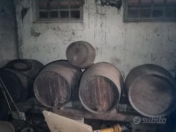 Botti in rovere da 3.5 ettolitri