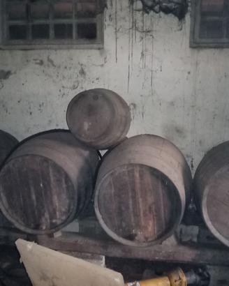 Botti in rovere da 3.5 ettolitri