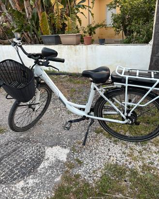 Bicicletta elettrica