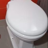 Water Globo Paestum con Copriwater