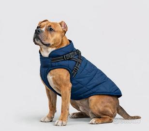 Cappottino per cane