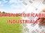 Immagine 19