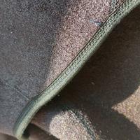 muta seac sub Tg L donna