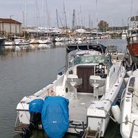 Chris Craft Sea Hawk 216