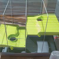 gabbia per criceti + accessori 