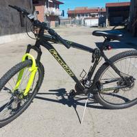 bicicletta mountain bike free rider 