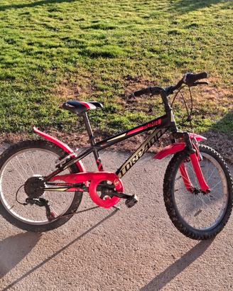 mtb 20 bambino