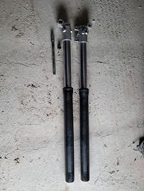 Forcelle rovesciate fantic 50 motard 